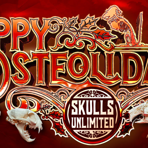 Why Shop Osteolidays? Our Biggest Sale of the Year Explained!