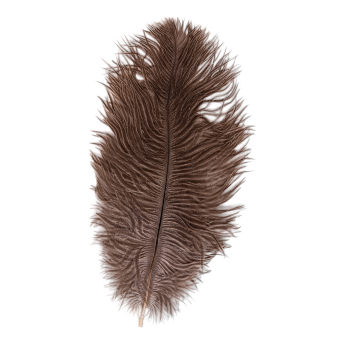 Real Ostrich Feather - Single