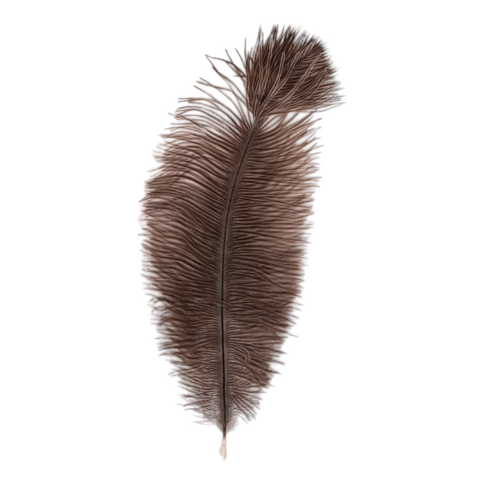 Real Ostrich Feather - Single