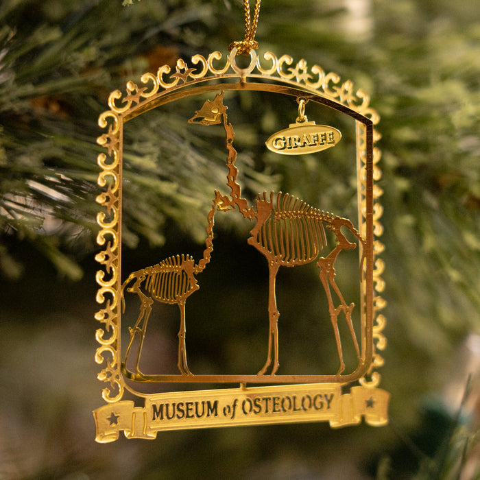 SKELETONS: Museum of Osteology Brass Giraffe Ornament