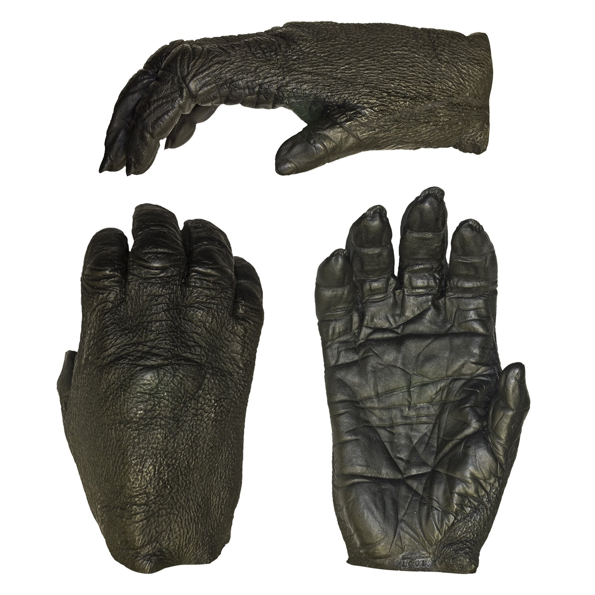 Replica Lowland Gorilla Male Right Hand — Skulls Unlimited International,  Inc.