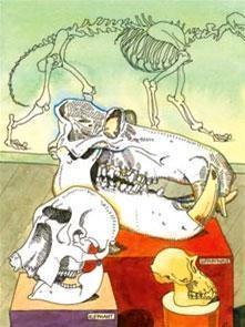 I'm Going to Rib-Cage World - Skulls Unlimited International, Inc.