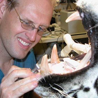 91st Annual Western Veterinarian Conference