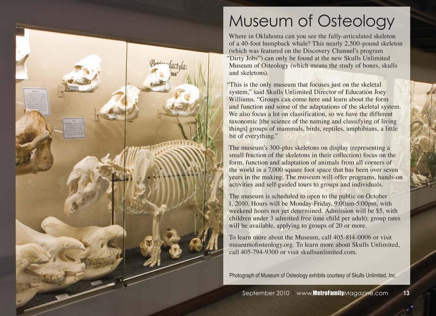 Museum of Osteology