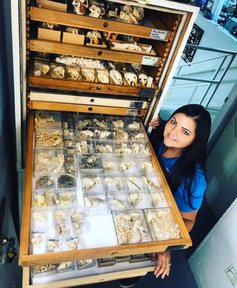 Unlocking the Mysteries of Nature: Our Comparative Collection