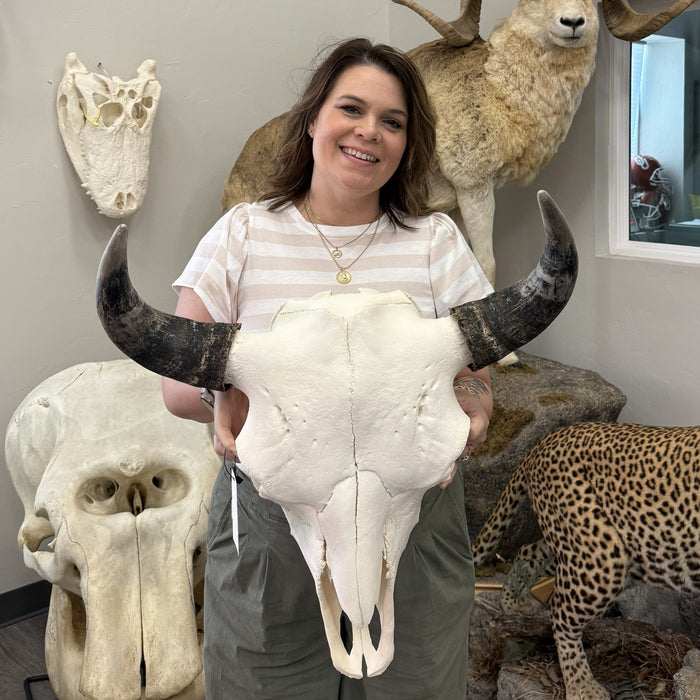 Gifts Our Team Is Obsessed With