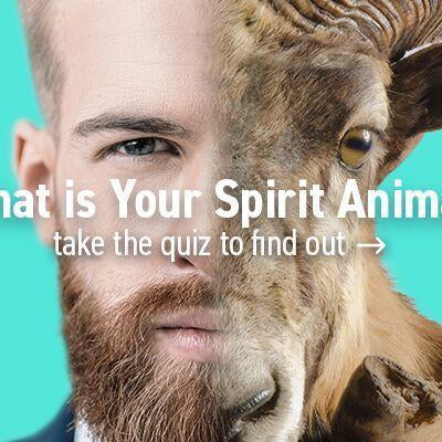 What Does Your Spirit Animal Say About You?
