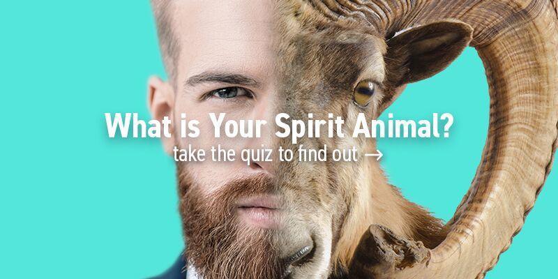 What Does Your Spirit Animal Say About You?