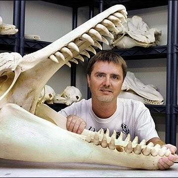 Where 'how greasy a human is' is part of the job - Skulls Unlimited International, Inc.