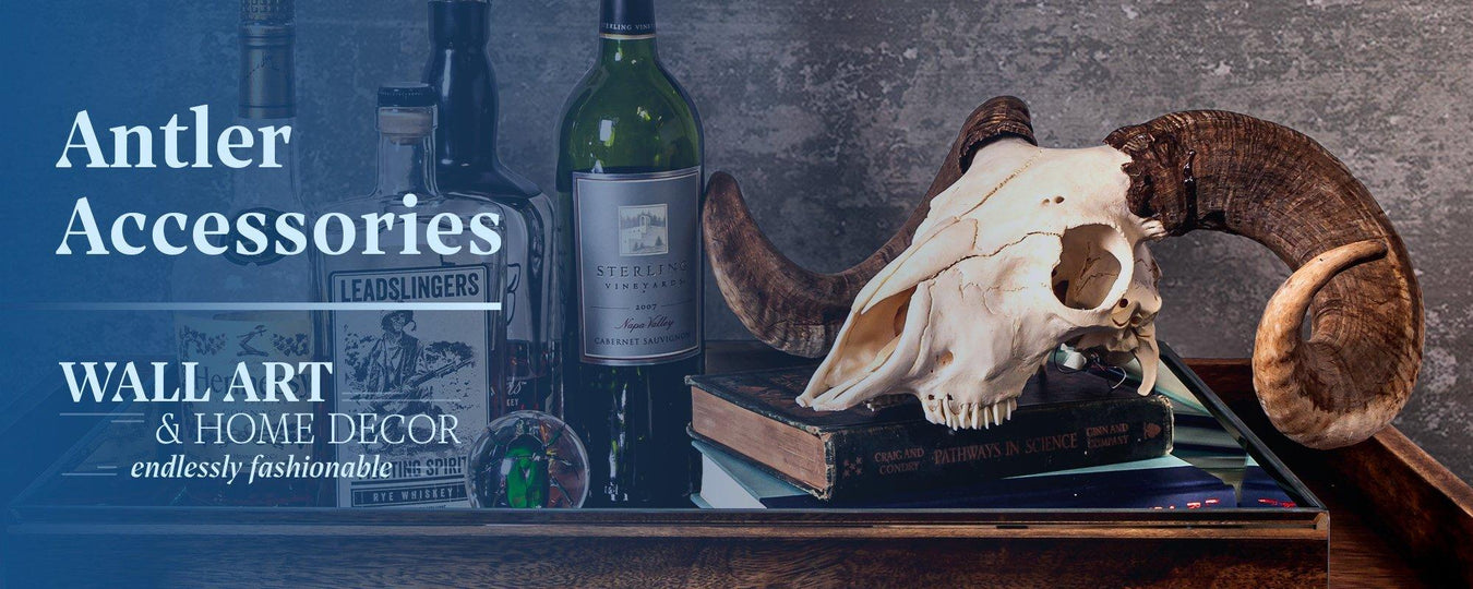 Antlers and Horn Accessories