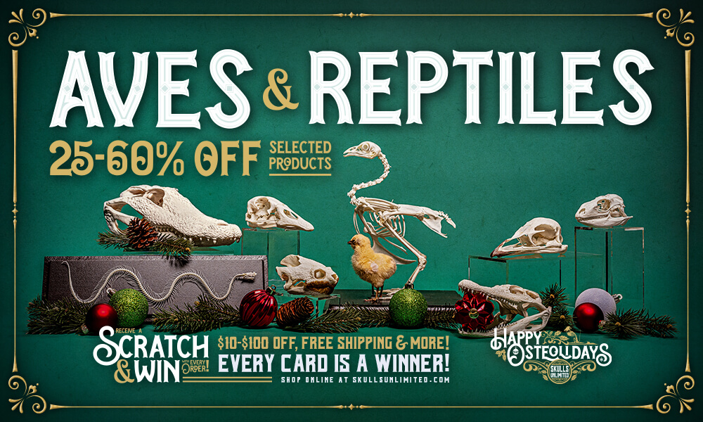 Osteoliday Discounts on Birds and Reptiles - Skulls Unlimited International, Inc.