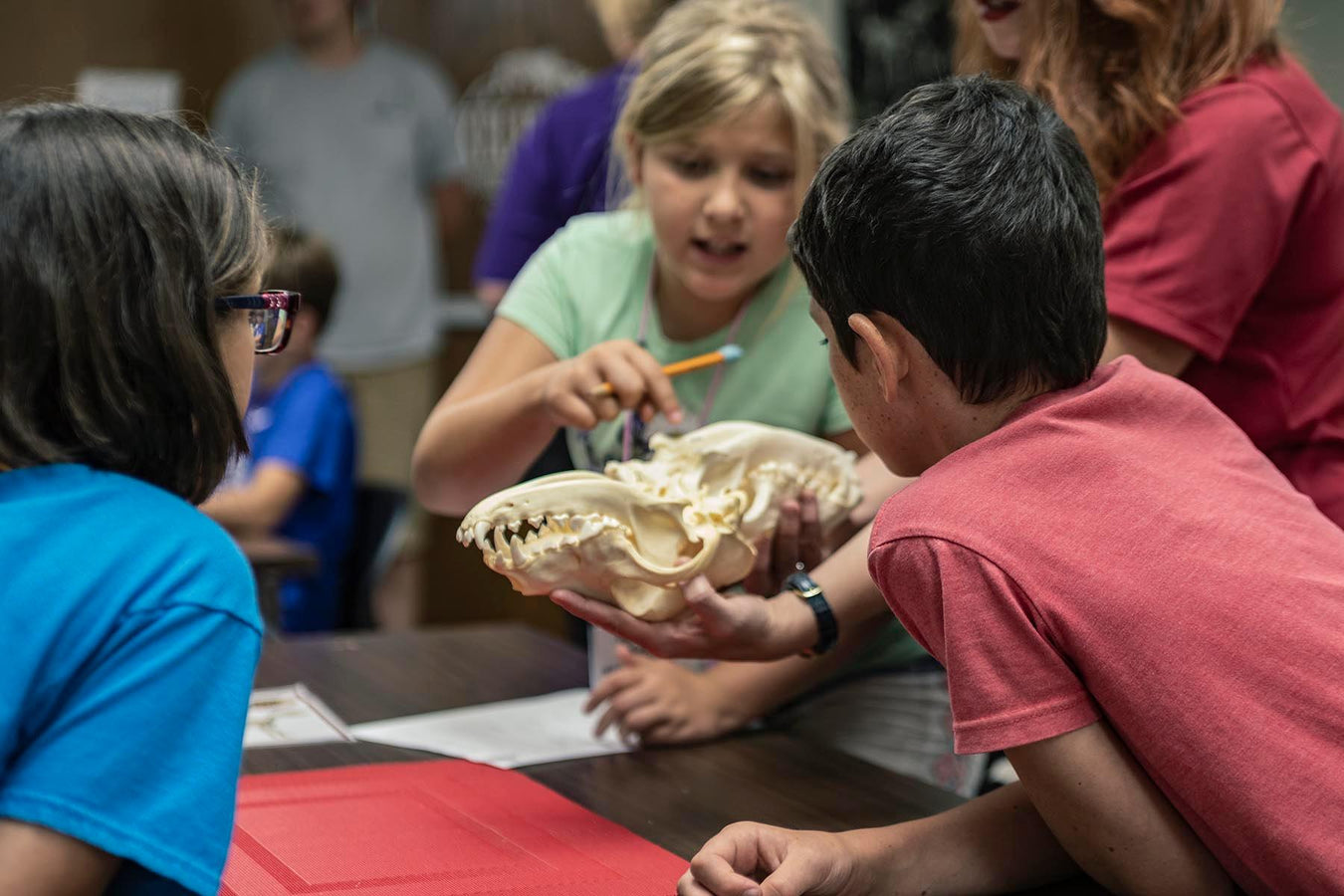 Education Kits and Products