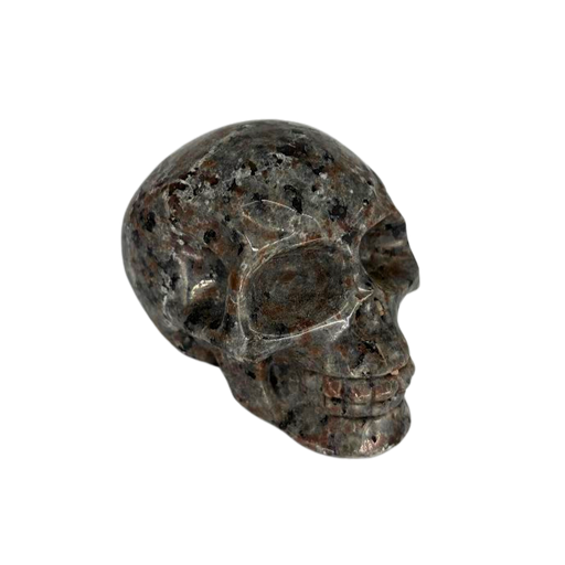 Yooperlite Skull $69.99 For Sale — Skulls Unlimited International