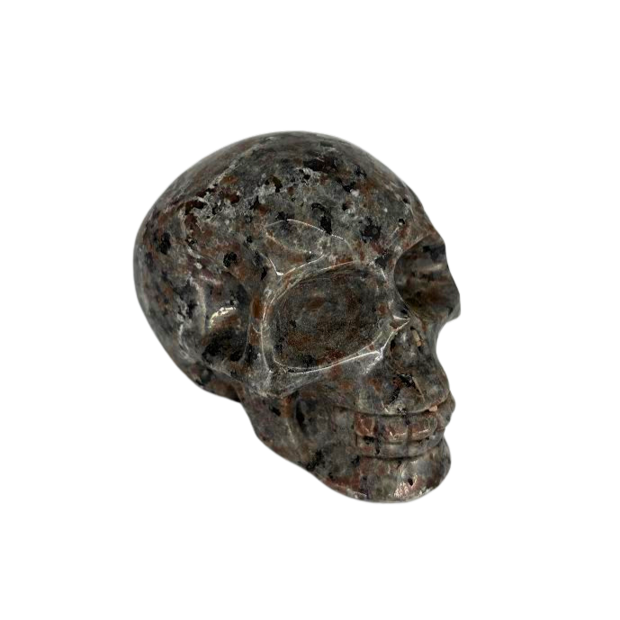 Carved Yooperlite Skull