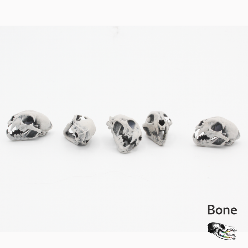 Bobcat Skull Replica - 1:12 Scale (Set of 5)