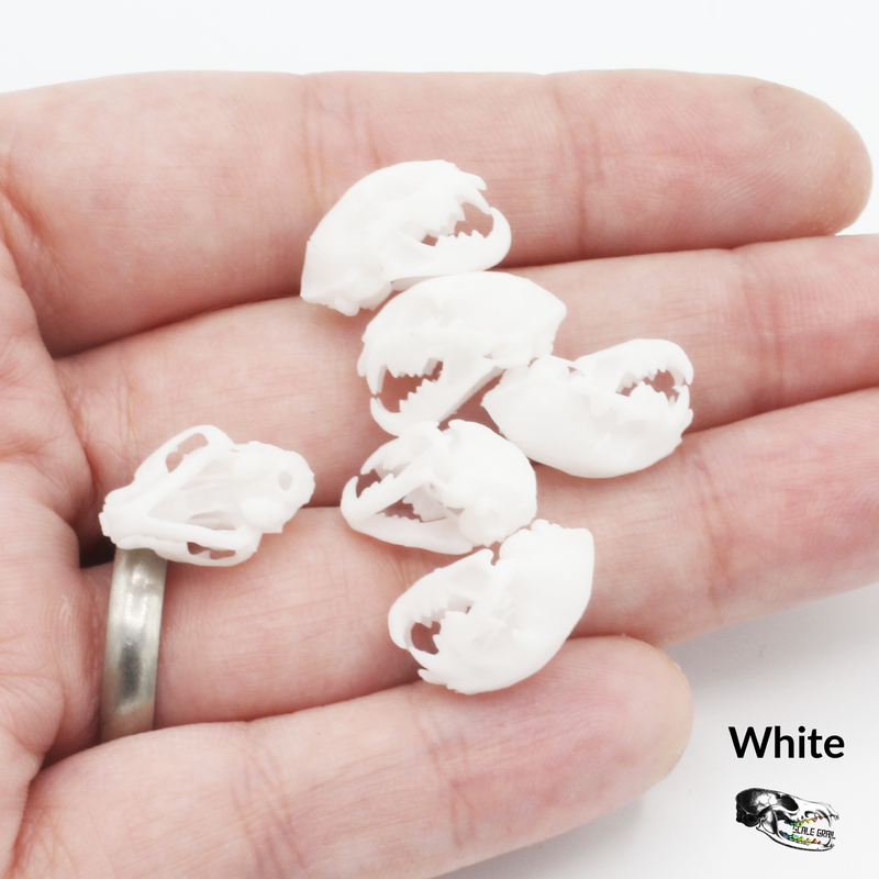 Bobcat Skull Replica - 1:12 Scale (Set of 5)
