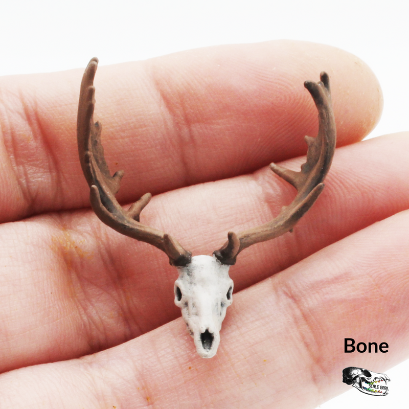 Fallow Deer Skull Replica - 1:24 Scale