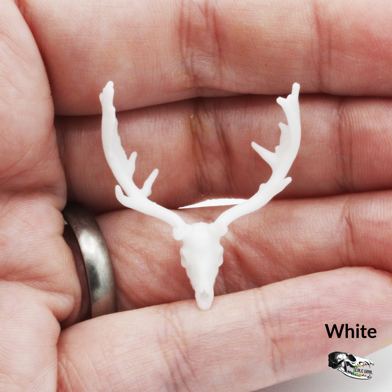 Fallow Deer Skull Replica - 1:24 Scale