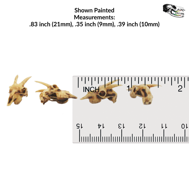 Goat Skull Replica - 1:12 Scale (Set of 5)