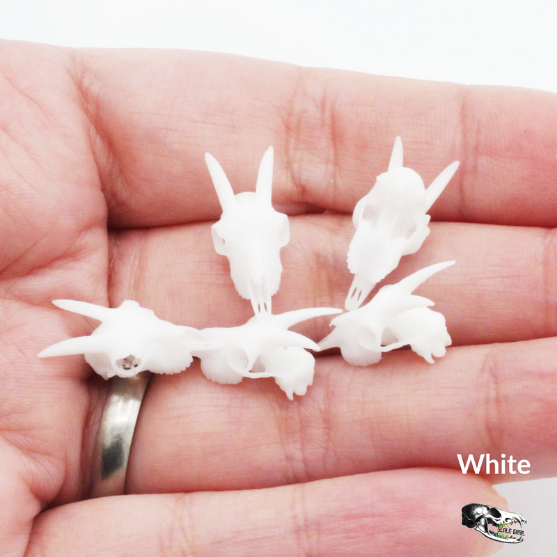 Goat Skull Replica - 1:12 Scale (Set of 5)