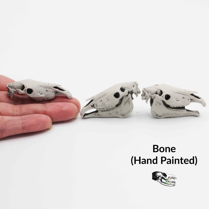 Horse Skull Replica - 1:12 Scale