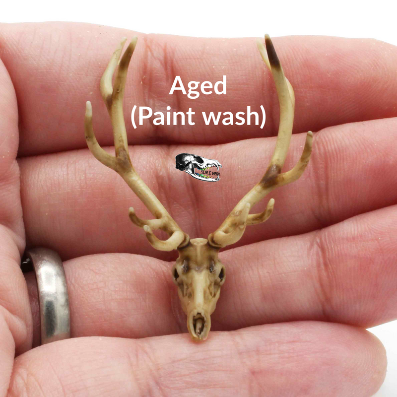 Red Deer Skull Replica - 1:24 Scale