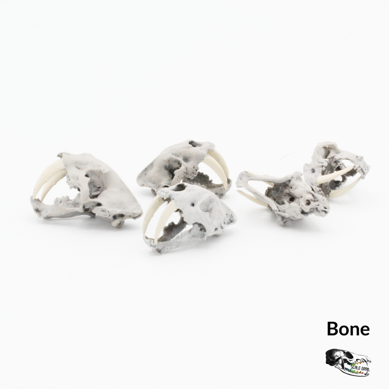 Saber-Toothed Tiger Skull Replica - 1:24 Scale (Set of 5)