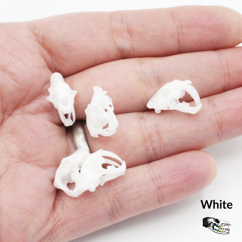 Saber-Toothed Tiger Skull Replica - 1:24 Scale (Set of 5)