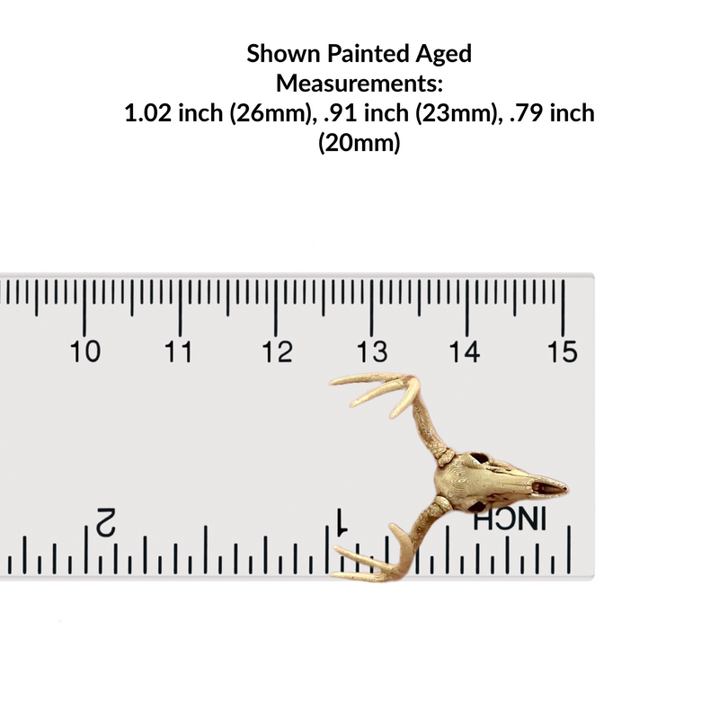 White-Tailed Deer Skull Replica - 1:24 Scale