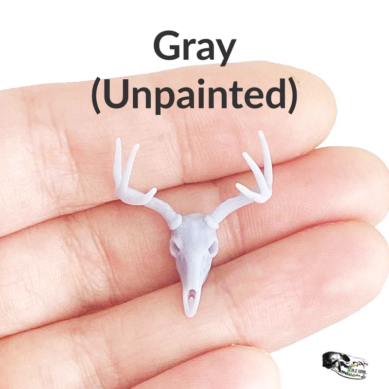 White-Tailed Deer Skull Replica - 1:24 Scale