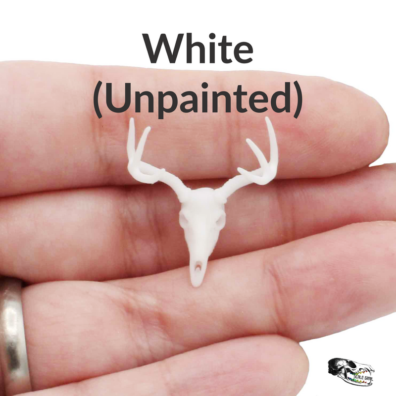 White-Tailed Deer Skull Replica - 1:24 Scale