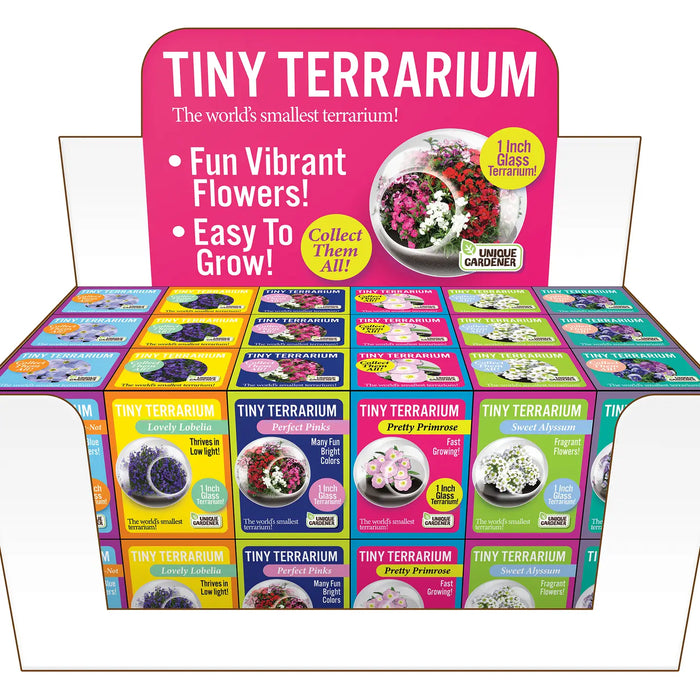 Tiny Terrarium