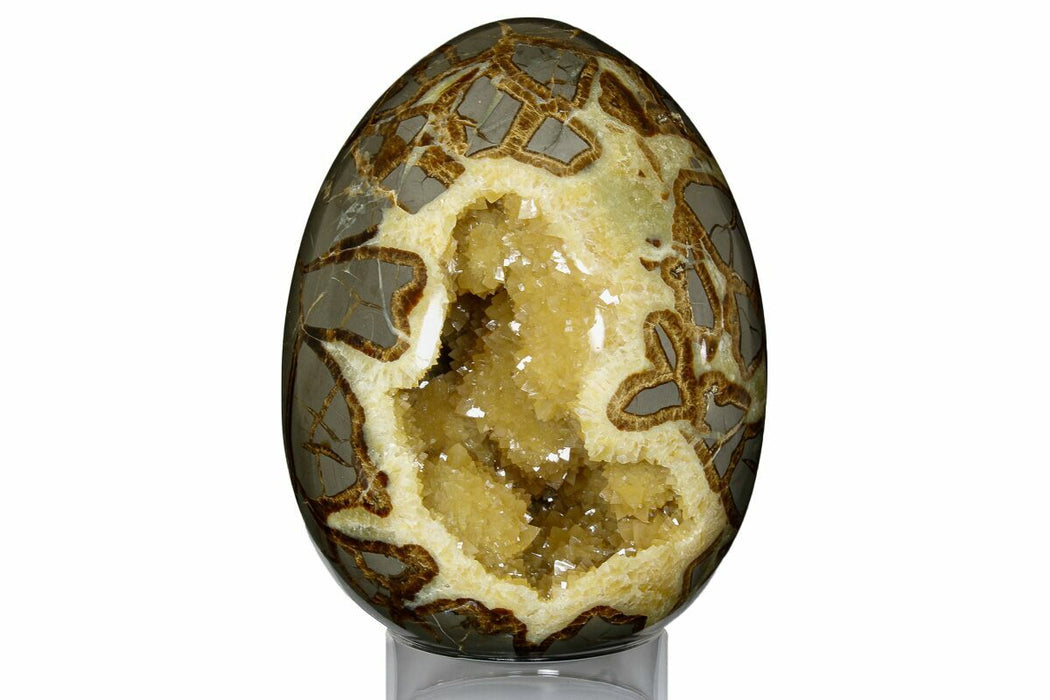 Septarian Egg Mineral Specimen