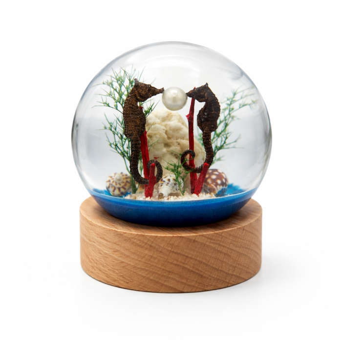 Seahorse Acrylic Globe