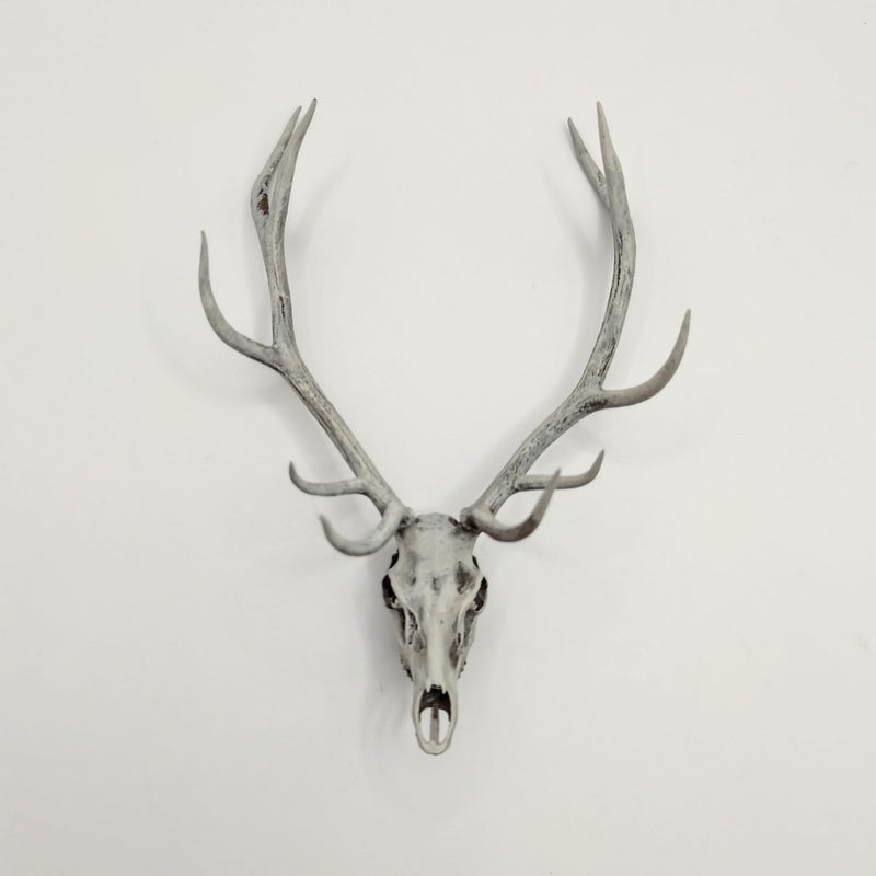Miniature Red Deer Skull Replica