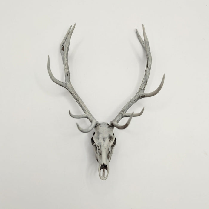 Miniature Red Deer Skull Replica