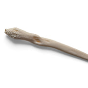 Real Raccoon Baculum - Impaired