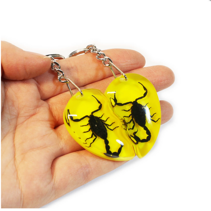 Real Scorpion Friendship Keychain in Acrylic - Single