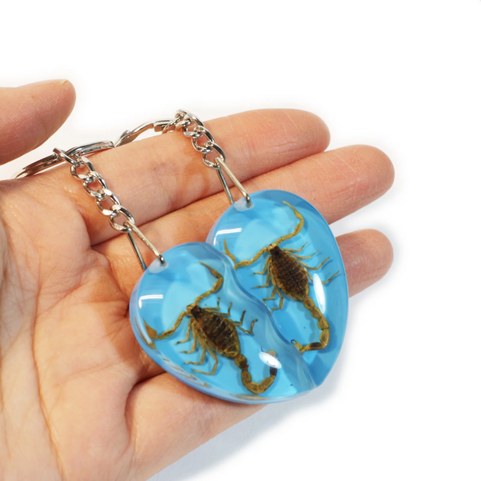 Real Scorpion Friendship Keychain in Acrylic - Single