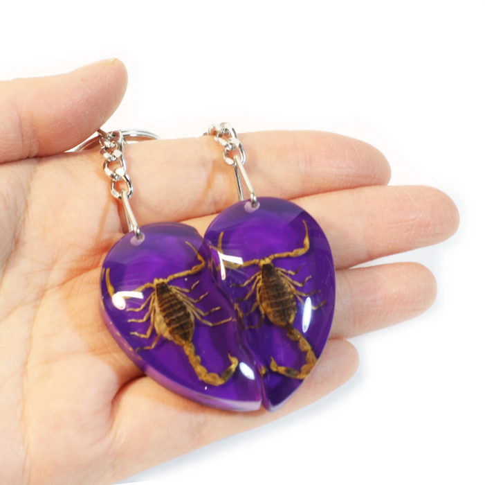 Real Scorpion Friendship Keychain in Acrylic - Single