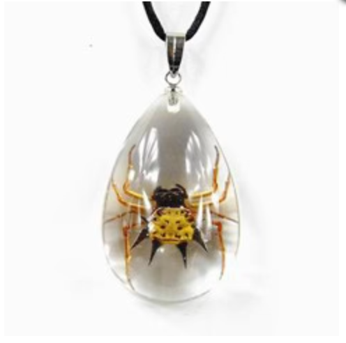 Real Spiny Spider in Acrylic Pendant Necklace