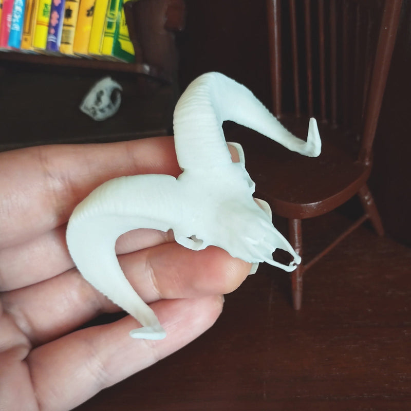 Bighorn Sheep Skull Replica - 1:12 Scale