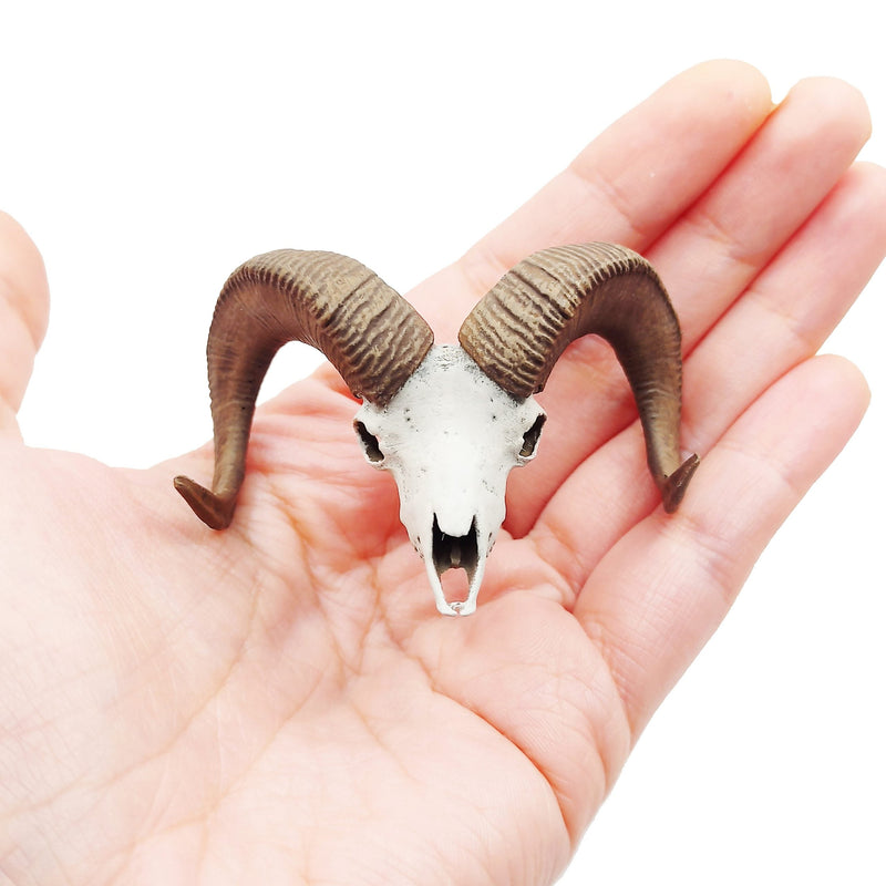 Bighorn Sheep Skull Replica - 1:12 Scale