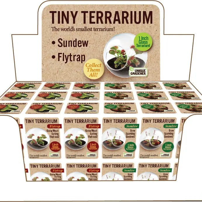 Tiny Terrarium