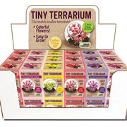 Tiny Terrarium