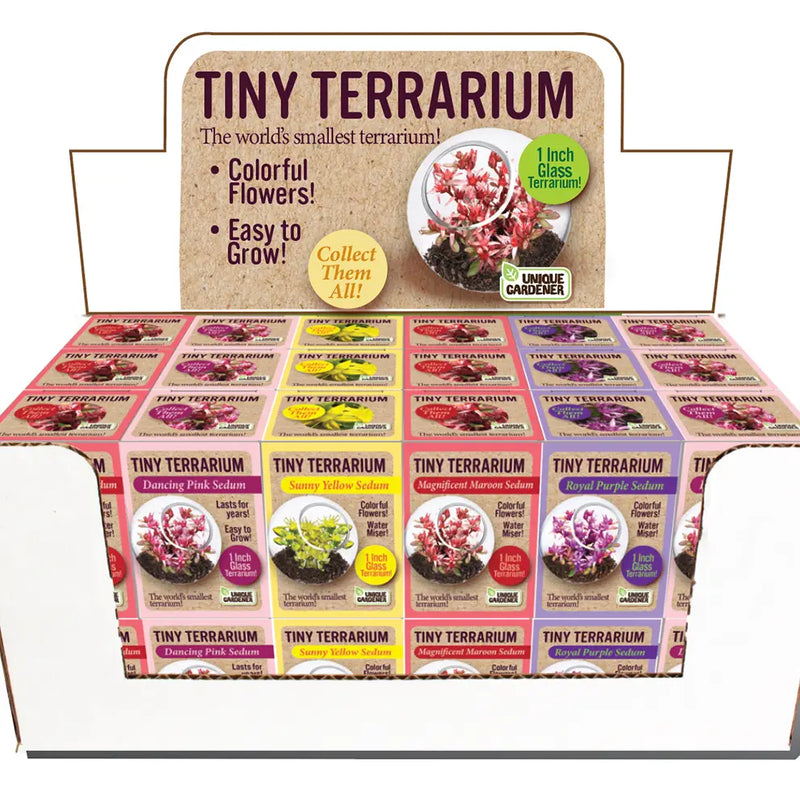 Tiny Terrarium
