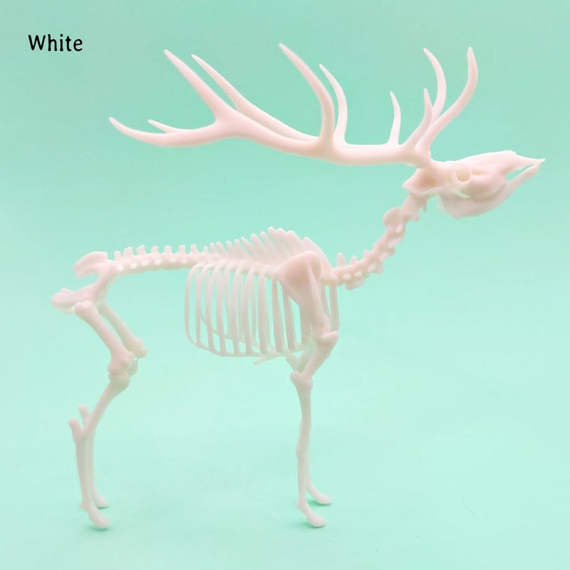 Red Deer Skeleton Replica - 1:18 Scale