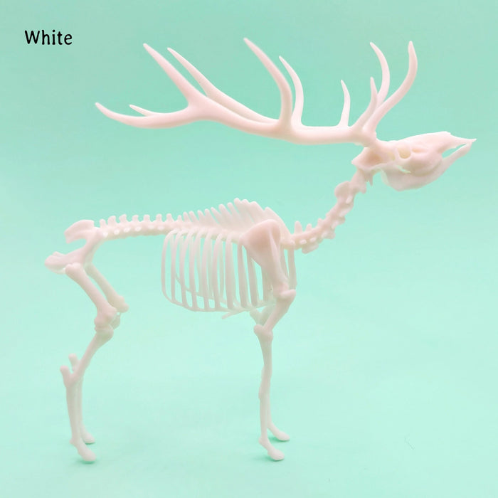 Red Deer Skeleton Replica - 1:18 Scale