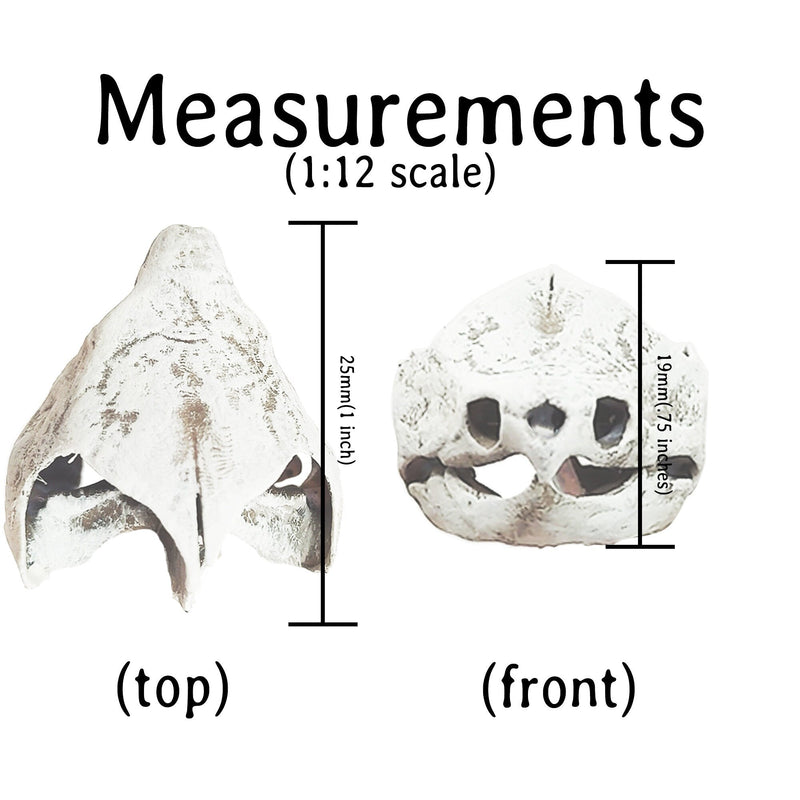 Alligator Snapping Turtle Skull Replica - 1:12 Scale (Set of 2)