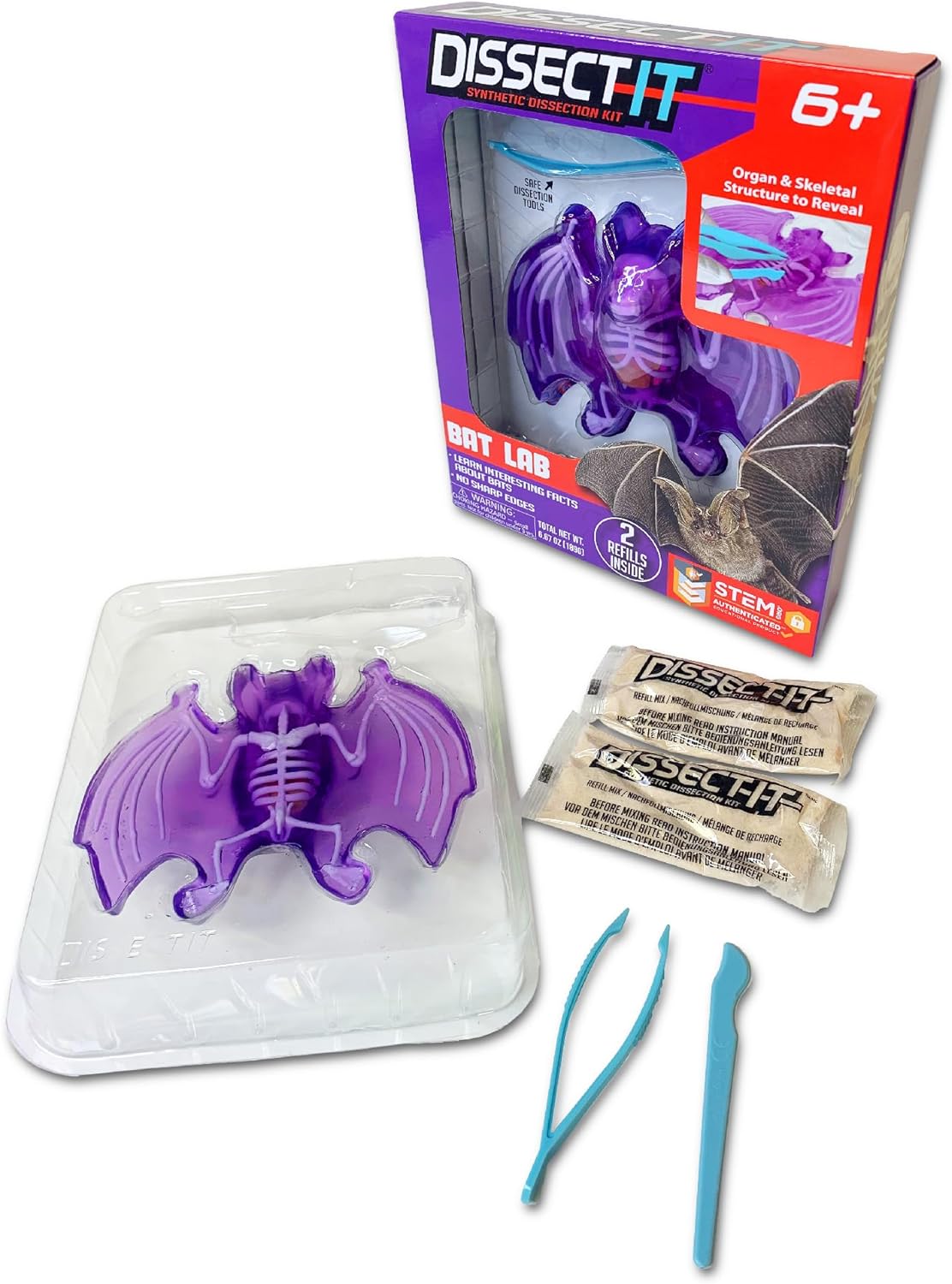 DISSECT IT - Bat — Skulls Unlimited International, Inc.